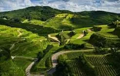 Coorg