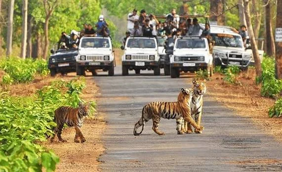 Madhya Pradesh