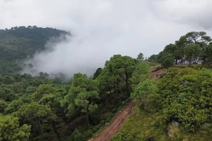 Morni Hills